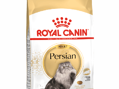 PERSIAN ADULT